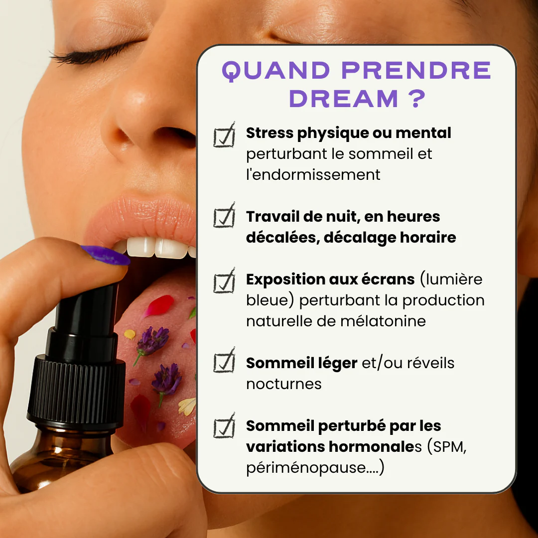 DREAM - Image 4