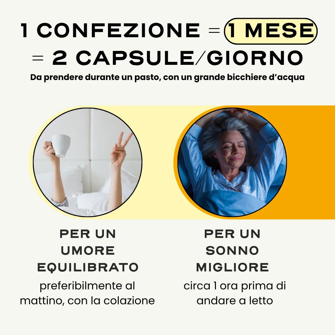 MENO. - Image 7