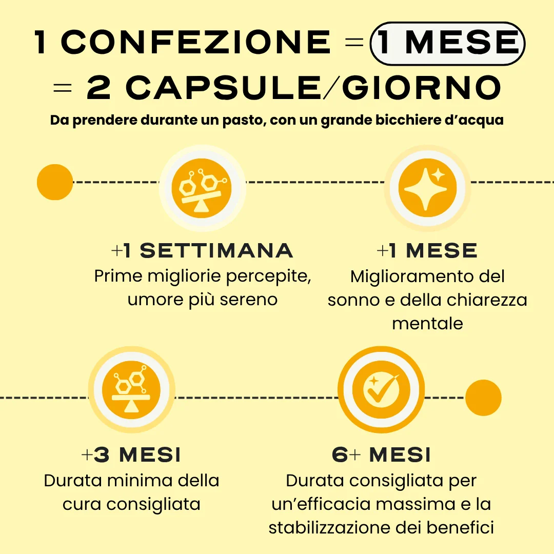 MENO. - Image 6