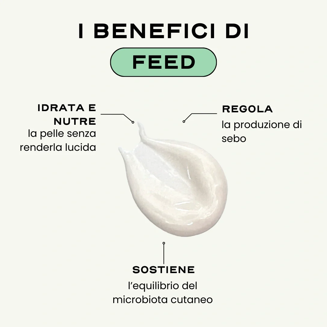 FEED. - Image 2
