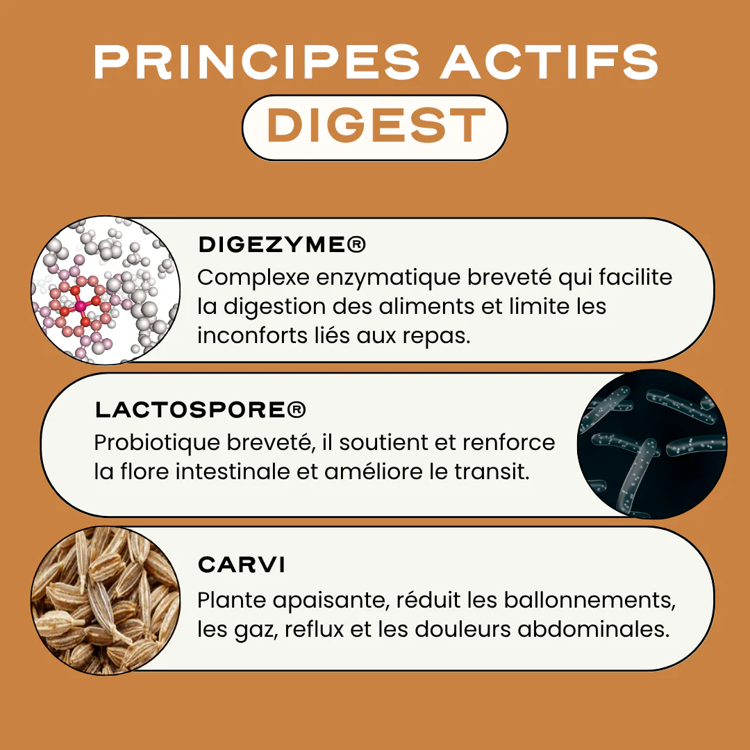 Duo Équilibre Peau & Digestion - Image 11
